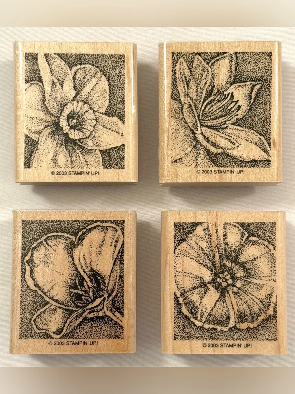 Like New Stampin’ Up Stamp Set~Flowers + Free Stamp Pad